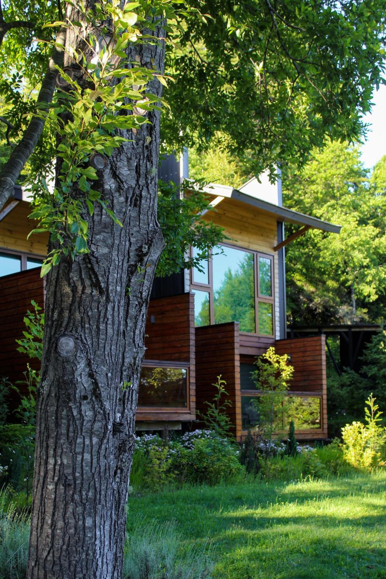 Ni-Newen Hotel & Lodge Pucón Exteriér fotografie