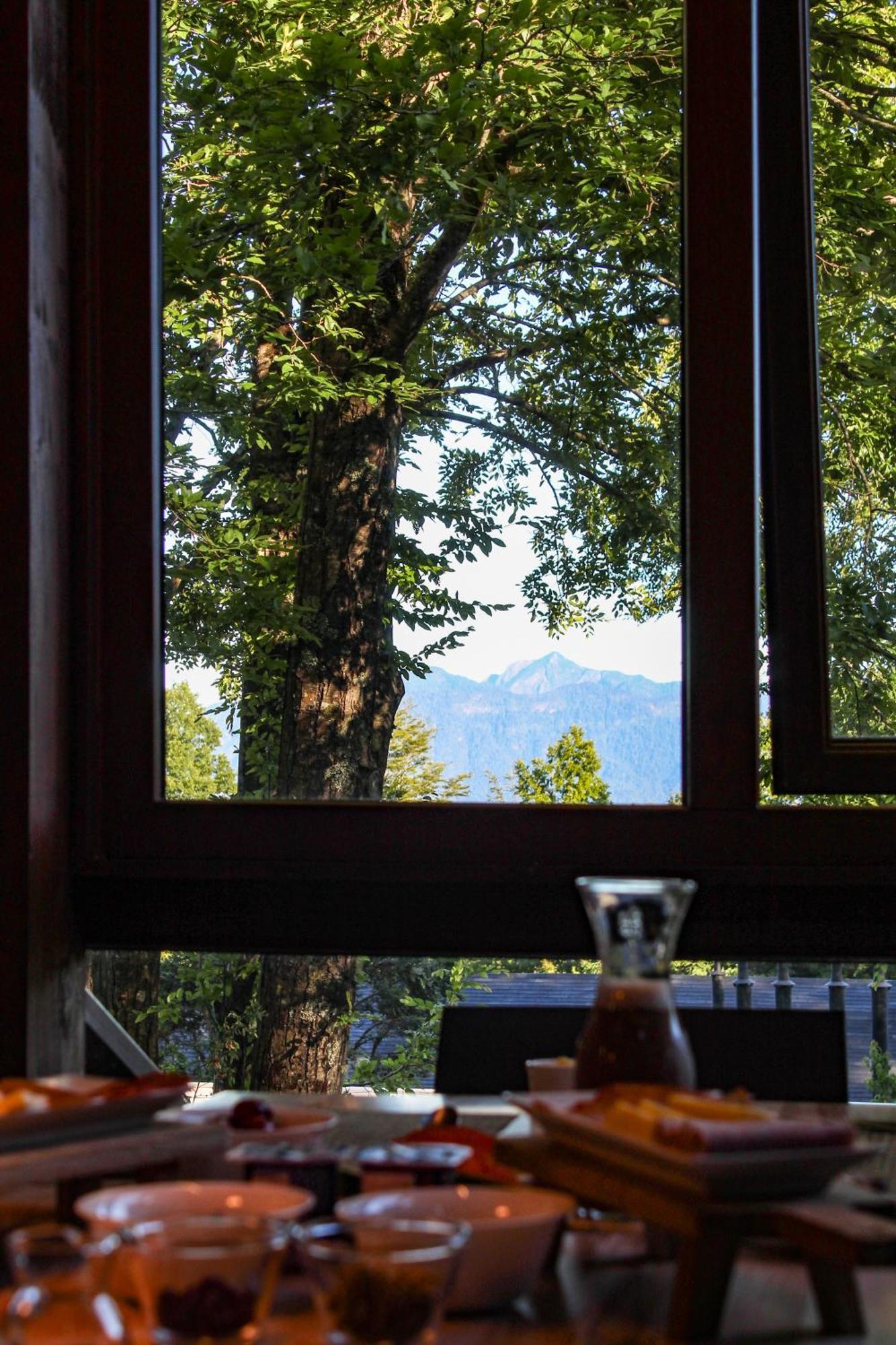 Ni-Newen Hotel & Lodge Pucón Exteriér fotografie